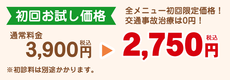 施術料金お試し価格